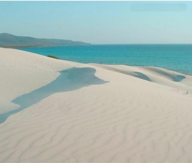 Villa Panoramica Immersa Nel Verde Porto Pino Kültér fotó